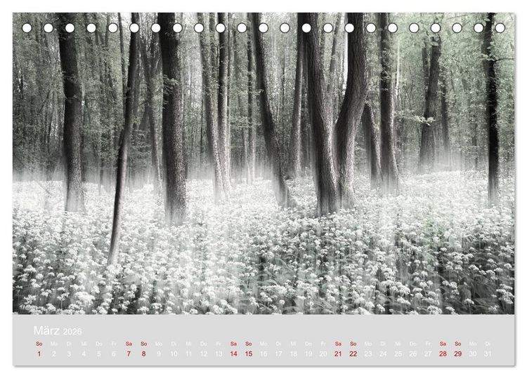 Produktbild: Im Lichtglanz der Jahreszeiten (Tischkalender 2026 DIN A5 quer), CALVENDO Monatskalender