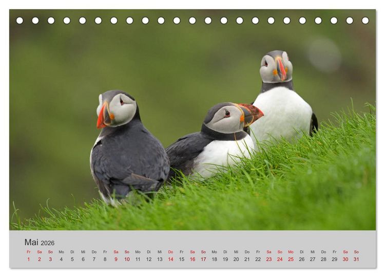 Produktbild: F&auml;r&ouml;er Inseln 2026 (Tischkalender 2026 DIN A5 quer), CALVENDO Monatskalender