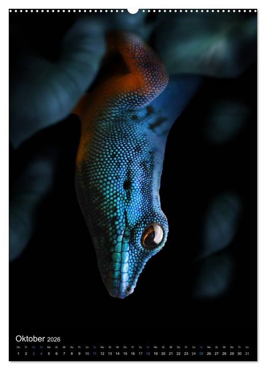 Produktbild: Auge in Auge mit coolen Typen - REPTILIEN (hochwertiger Premium Wandkalender 2026 DIN A2 hoch), Kunstdruck in Hochglanz