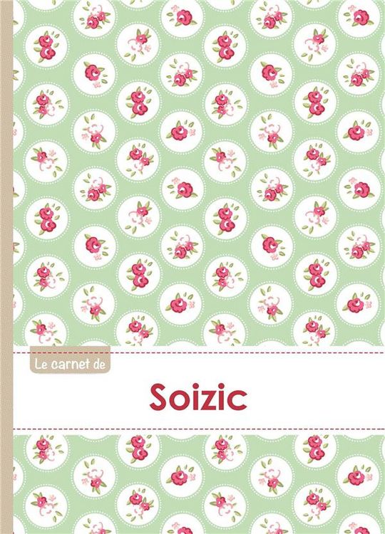 Produktbild: Carnet soizic lignes,96p,a5