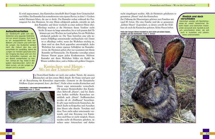 Produktbild: Leben mit Kaninchen