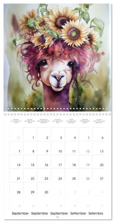 Produktbild: Alpagas du c&oelig;ur (Calendrier mural carr&eacute; 2026 30x30 cm) Calendrier double avec une page pour vos prises de notes