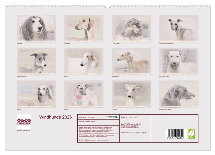 Produktbild: Windhunde 2026 (hochwertiger Premium Wandkalender 2026 DIN A2 quer), Kunstdruck in Hochglanz