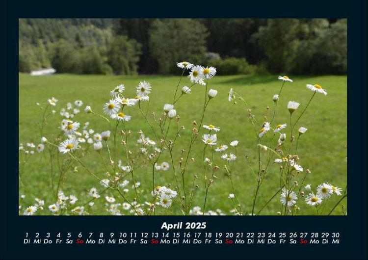 Produktbild: Berge 2025 Fotokalender DIN A4