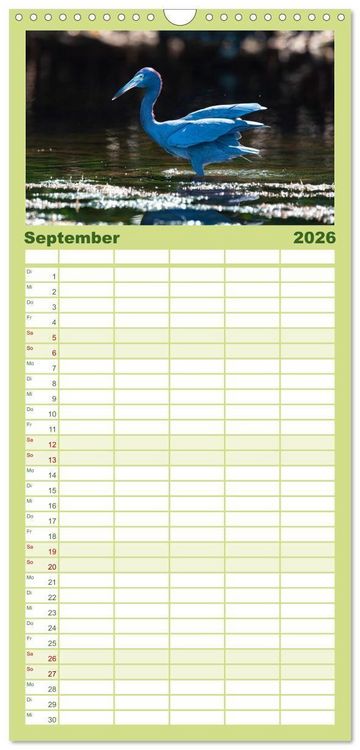Produktbild: Familienplaner 2026 - Blaureiher und Dreifarbenreiher mit 5 Spalten (Wandkalender, 21 x 45 cm) CALVENDO