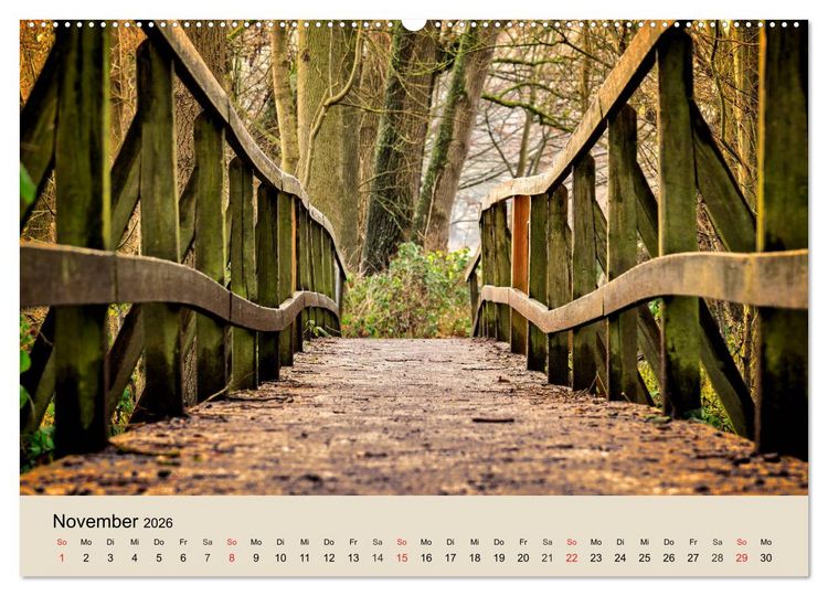 Produktbild: Der Wald. Durch zauberhafte Waldlandschaften (Wandkalender 2026 DIN A2 quer), CALVENDO Monatskalender