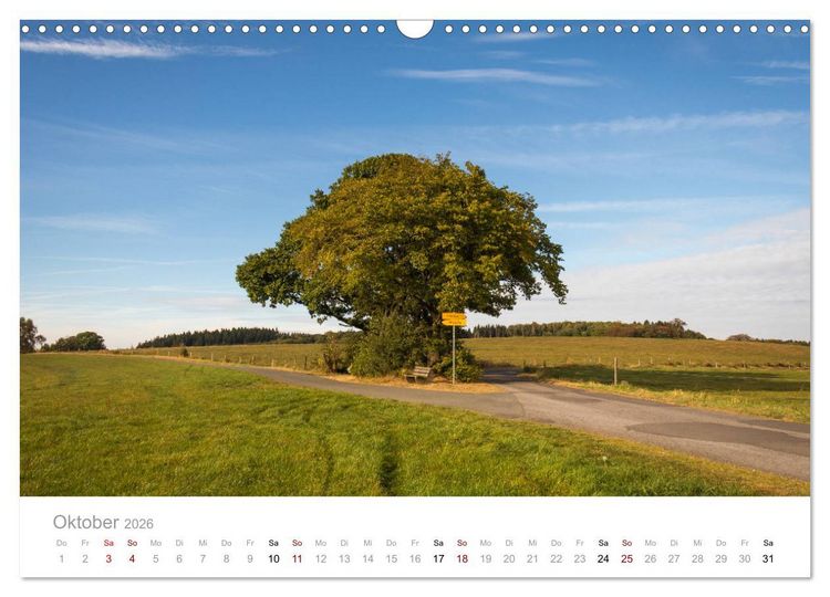 Produktbild: Wundersch&ouml;ne B&auml;ume im Sauerland (Wandkalender 2026 DIN A3 quer), CALVENDO Monatskalender