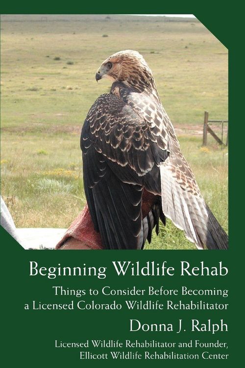 Produktbild: Beginning Wildlife Rehab