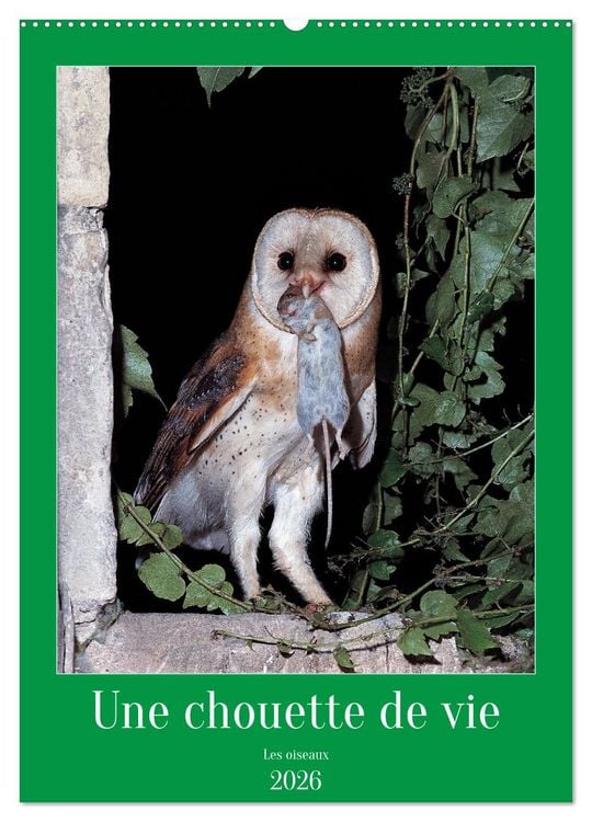 Produktbild: Une chouette de vie, les oiseaux (Calendrier mural 2026 DIN A2 horizontal), CALVENDO calendrier mensuel