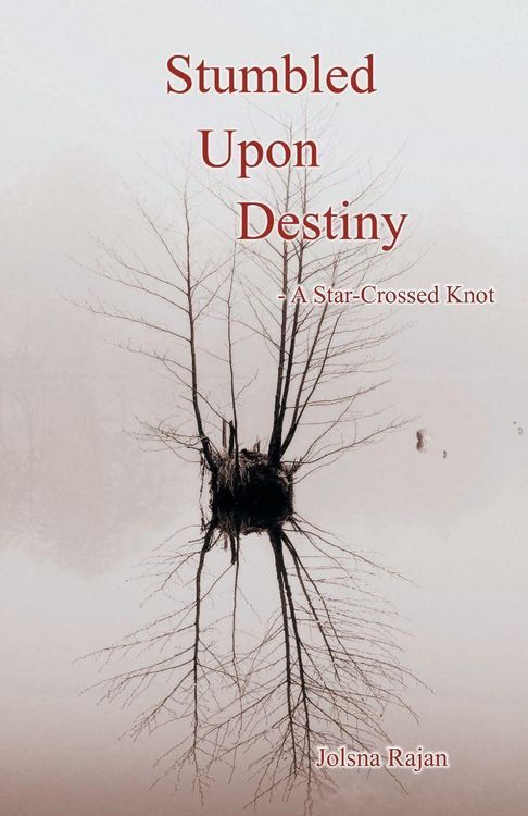 Produktbild: Stumbled Upon Destiny