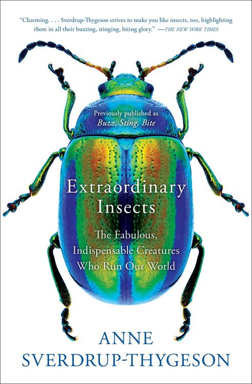 Produktbild: Extraordinary Insects