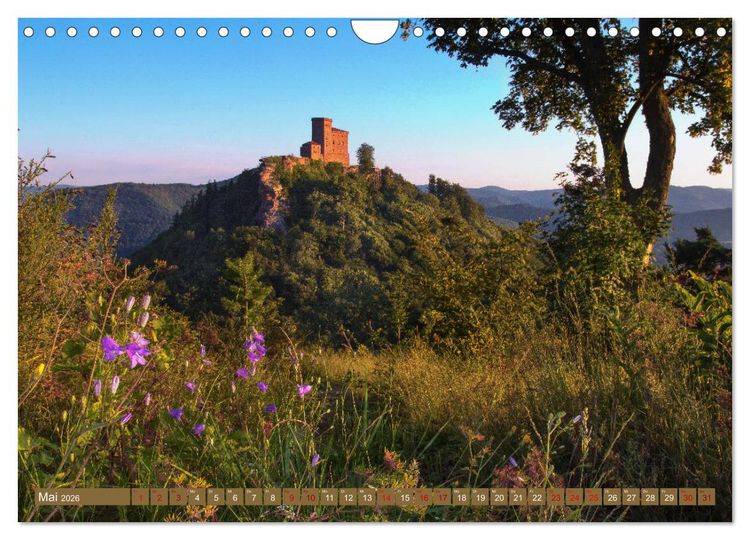 Produktbild: Augenschmaus Pf&auml;lzer Wald (Wandkalender 2026 DIN A4 quer), CALVENDO Monatskalender
