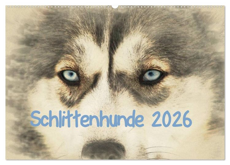 Produktbild: Schlittenhunde 2026 (Wandkalender 2026 DIN A2 quer), CALVENDO Monatskalender
