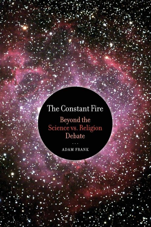 Produktbild: The Constant Fire