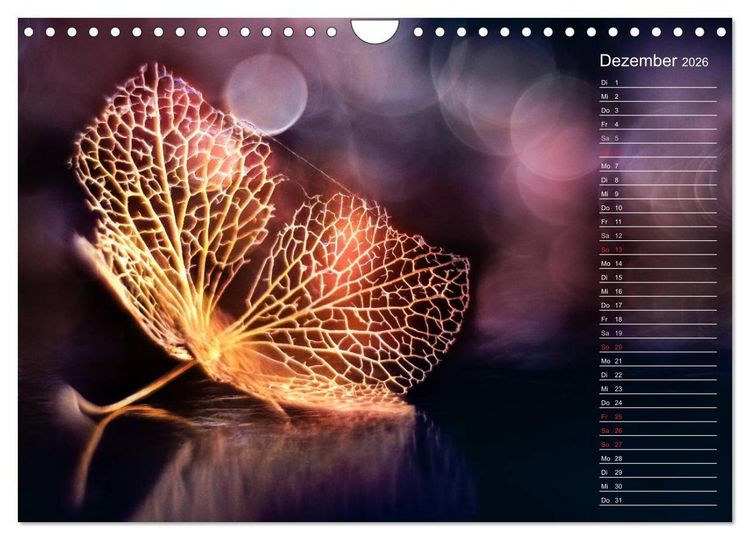 Produktbild: Die Hortensie und ihre vielen Gesichter (Wandkalender 2026 DIN A4 quer), CALVENDO Monatskalender