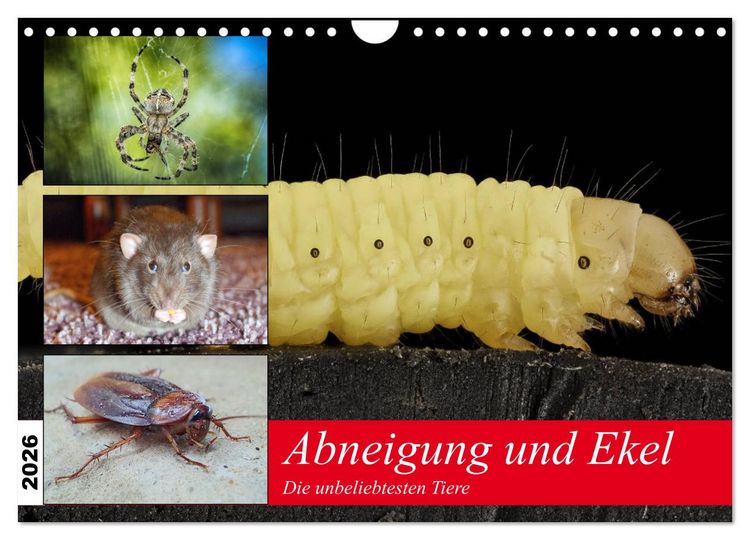 Produktbild: Abneigung und Ekel. Die unbeliebtesten Tiere (Wandkalender 2026 DIN A4 quer), CALVENDO Monatskalender