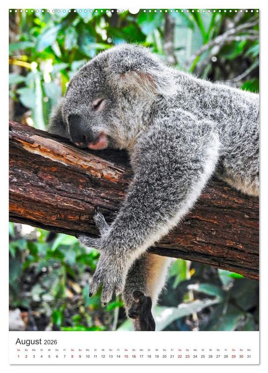 Produktbild: Australien - Eine unvergessliche Reise. (Wandkalender 2026 DIN A2 hoch), CALVENDO Monatskalender