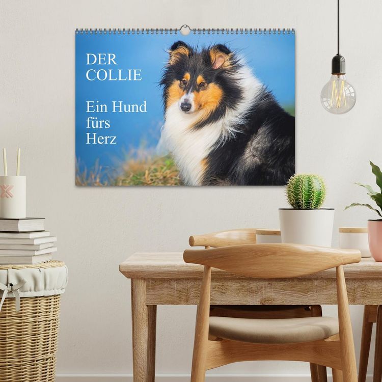 Produktbild: Der Collie - ein Hund f&uuml;rs Herz (Wandkalender 2026 DIN A3 quer), CALVENDO Monatskalender