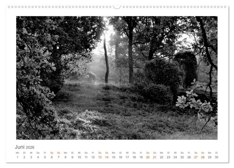 Produktbild: Quo Vadis? W&auml;lder und Wege in der R&ouml;hn, L&uuml;neburger Heide und der Mecklenburgischen Seenplatte (Wandkalender 2026 DIN A2 quer), CALVENDO Monatskalender