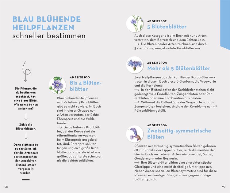 Produktbild: Basic Heilpflanzen