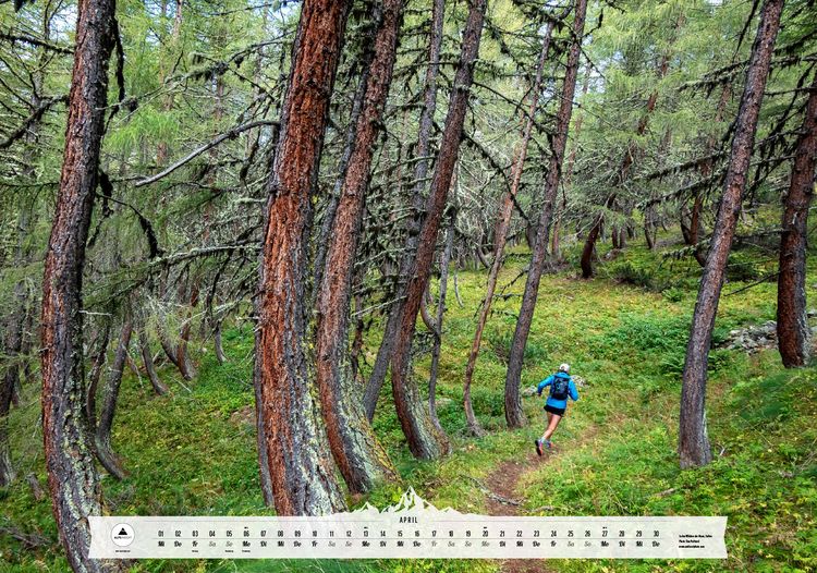 Produktbild: Best of Running 2026
