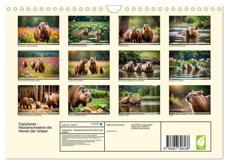 Produktbild: Capybaras - Wasserschweine die Herren der Gr&auml;ser (Wandkalender 2026 DIN A4 quer), CALVENDO Monatskalender