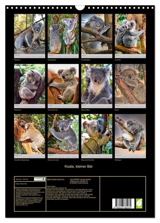 Produktbild: Koala, kleiner B&auml;r (Wandkalender 2026 DIN A3 hoch), CALVENDO Monatskalender