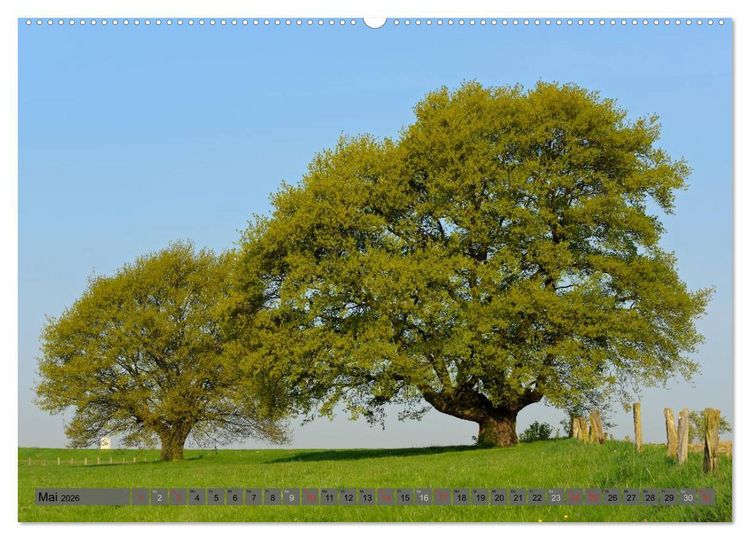 Produktbild: Der Niederrhein im Wandel der Jahreszeiten (Wandkalender 2026 DIN A2 quer), CALVENDO Monatskalender