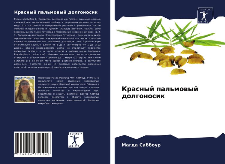 Produktbild: Krasnyj pal'mowyj dolgonosik