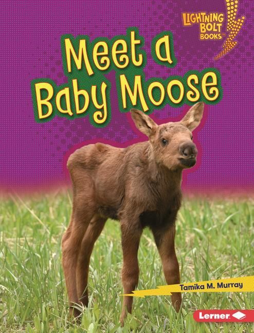 Produktbild: Meet a Baby Moose