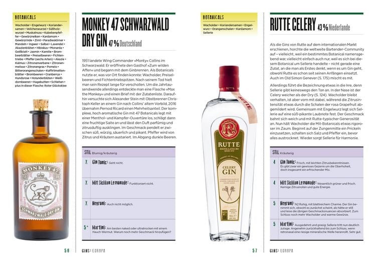 Produktbild: How to drink Gin