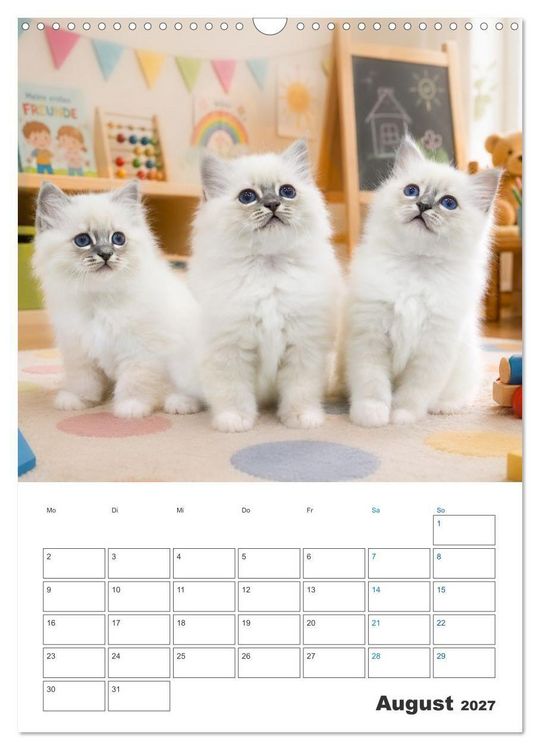Produktbild: Heilige Birma Kitten Kalender mit Planer (Wandkalender 2027 DIN A3 hoch), CALVENDO Monatskalender