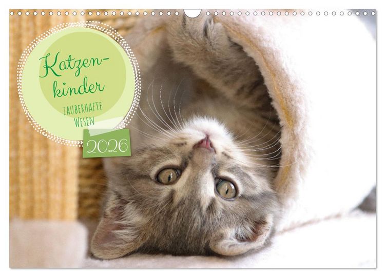 Produktbild: Katzenkinder - zauberhafte Wesen (Wandkalender 2026 DIN A3 quer), CALVENDO Monatskalender