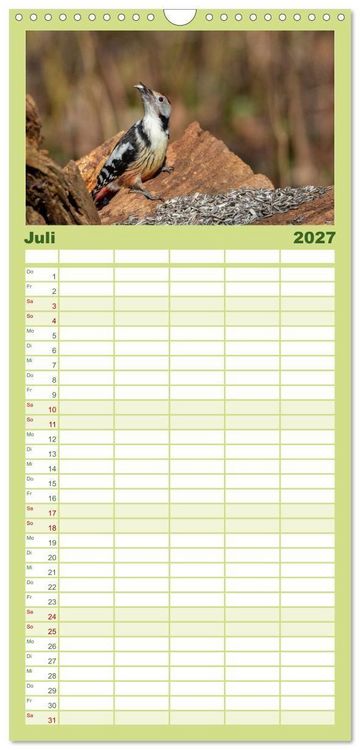 Produktbild: Familienplaner 2027 - Der Kernbei&szlig;er und seine gefiederten Gesellen mit 5 Spalten (Wandkalender, 21 x 45 cm) CALVENDO