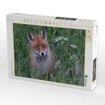 Produktbild: CALVENDO Puzzle Ein Motiv aus dem Kalender Wildlife Impressionen | 1000 Teile Lege-Gr&ouml;&szlig;e 64x48cm Foto-Puzzle f&uuml;r gl&uuml;ckliche Stunden
