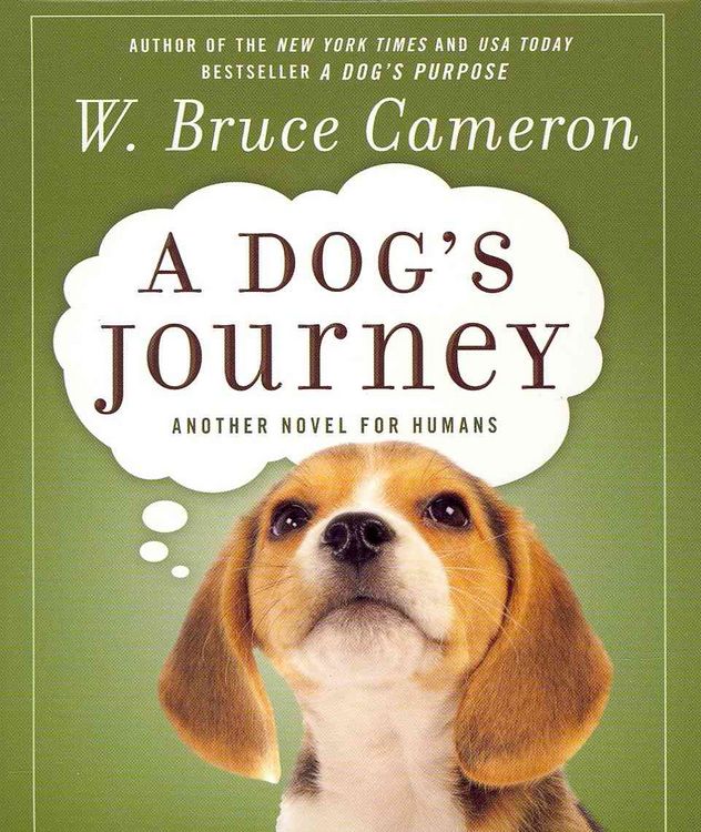Produktbild: DOGS JOURNEY                8D