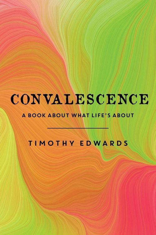 Produktbild: Convalescence