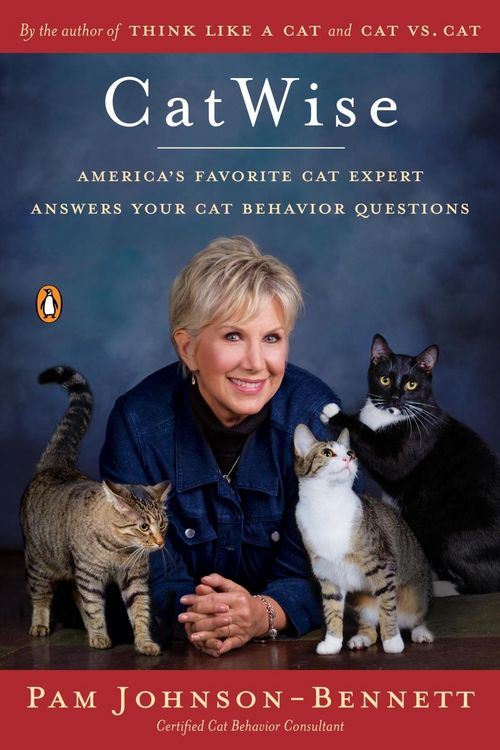 Produktbild: CatWise