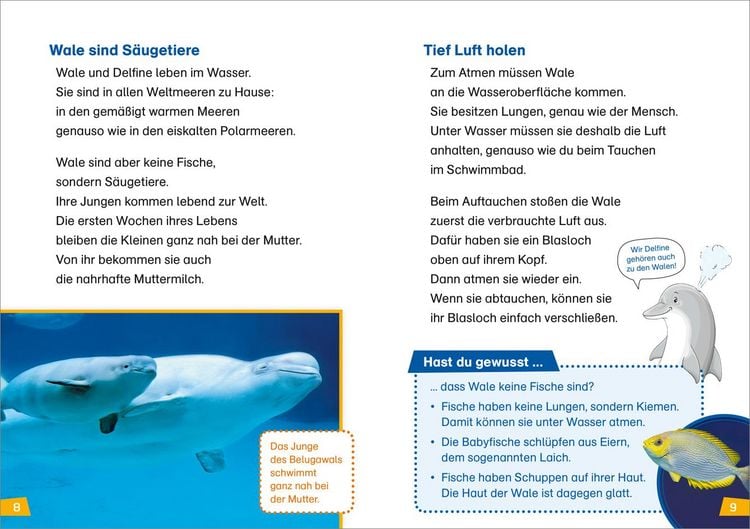 Produktbild: WAS IST WAS Erstes Lesen Band 1. Wale und Delfine