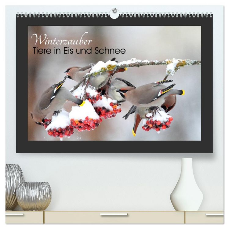 Produktbild: Winterzauber - Tiere in Eis und Schnee (hochwertiger Premium Wandkalender 2026 DIN A2 quer), Kunstdruck in Hochglanz