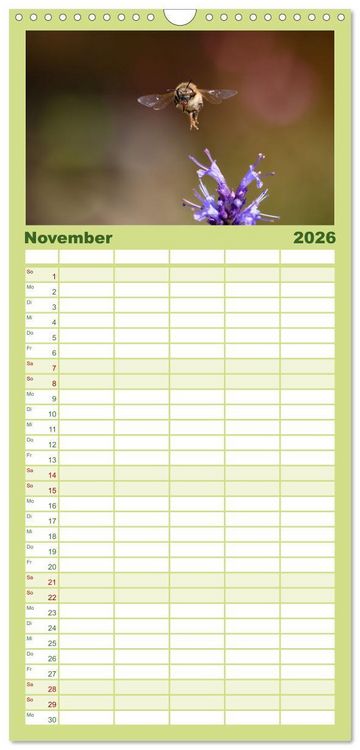 Produktbild: Familienplaner 2026 - Die Wunderwelt der Biene mit 5 Spalten (Wandkalender, 21 x 45 cm) CALVENDO