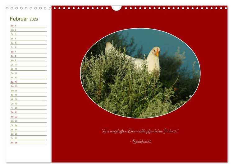 Produktbild: Freilaufende H&uuml;hner (Wandkalender 2026 DIN A3 quer), CALVENDO Monatskalender