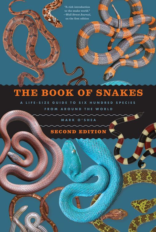Produktbild: Book of Snakes