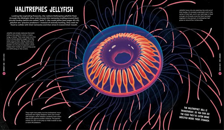Produktbild: Beasts from the Deep