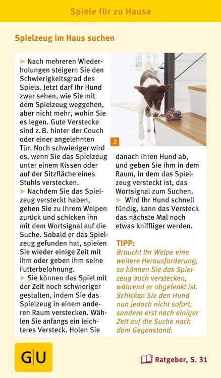Produktbild: Welpen-Spiele-Box