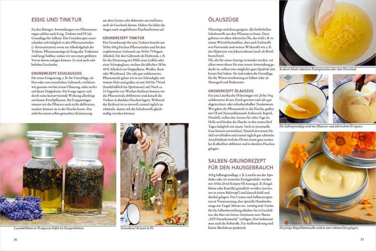Produktbild: Meine Gartenapotheke. Heilen und gesund leben mit Gem&uuml;se, Obst, Heilkr&auml;utern und Heilpflanzen aus dem Garten