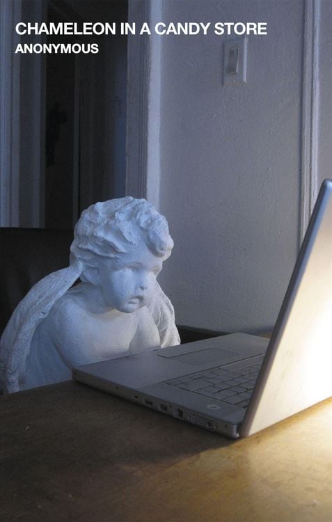Bild vom Artikel Chameleon in a Candy Store vom Autor Anonymous