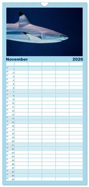 Produktbild: Familienplaner 2026 - Haie - K&ouml;nige der Meere. mit 5 Spalten (Wandkalender, 21 x 45 cm) CALVENDO