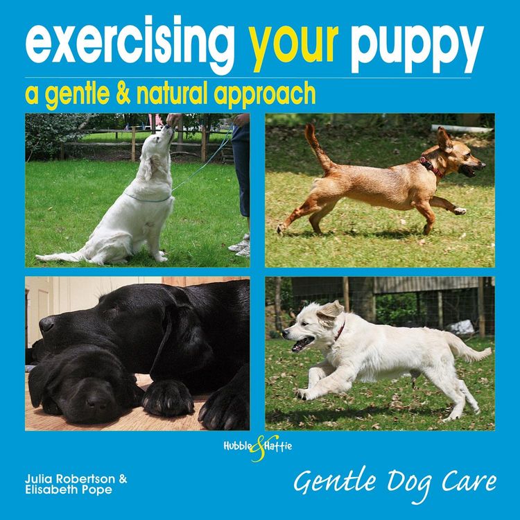 Produktbild: Exercising your puppy: a gentle & natural approach