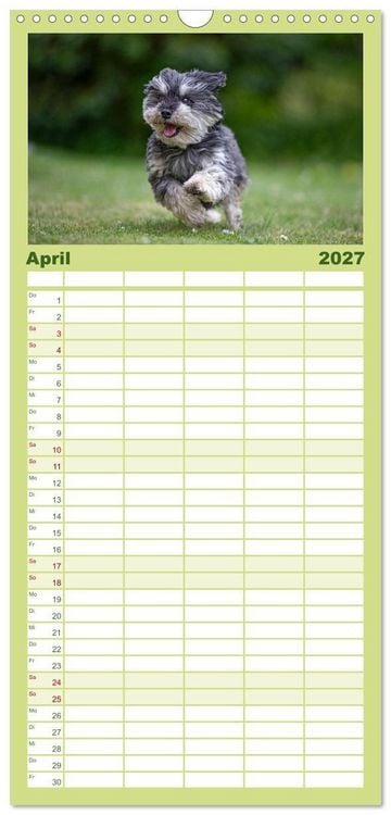 Produktbild: Familienplaner 2027 - Hunde Action mit 5 Spalten (Wandkalender, 21 x 45 cm) CALVENDO